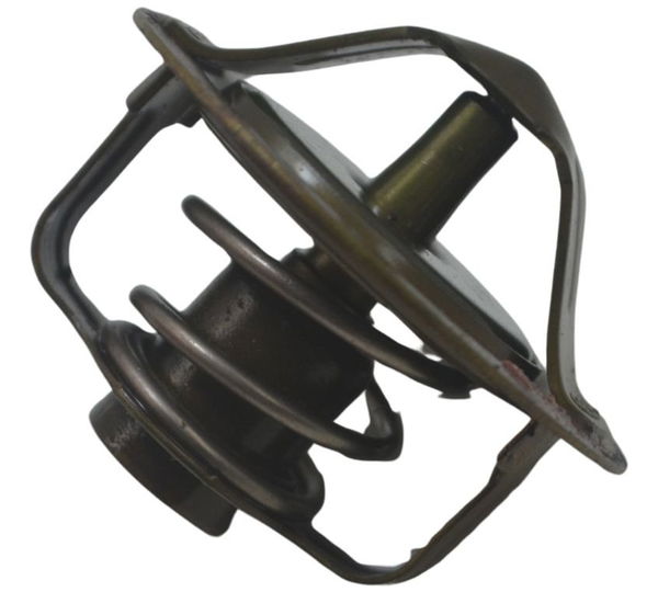 Válvula Termostática Yamaha Tdm Twin 900 02-08 Original