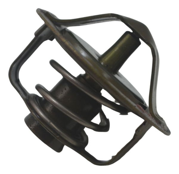 Válvula Termostática Yamaha Tdm Twin 900 02-08 Original