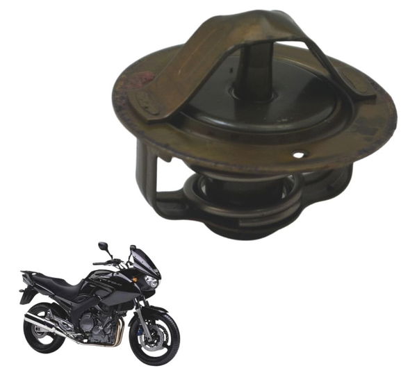 Válvula Termostática Yamaha Tdm Twin 900 02-08 Original