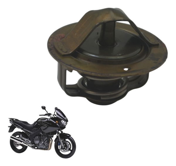 Válvula Termostática Yamaha Tdm Twin 900 02-08 Original