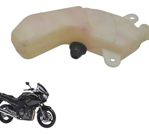 Reservatório Água Yamaha Tdm Twin 900 02-08 Original