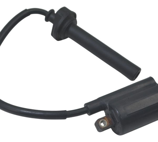 Bobina Ignição Yamaha Tdm Twin 900 02-08 Original