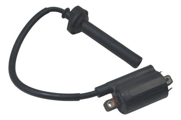 Bobina Ignição Yamaha Tdm Twin 900 02-08 Original