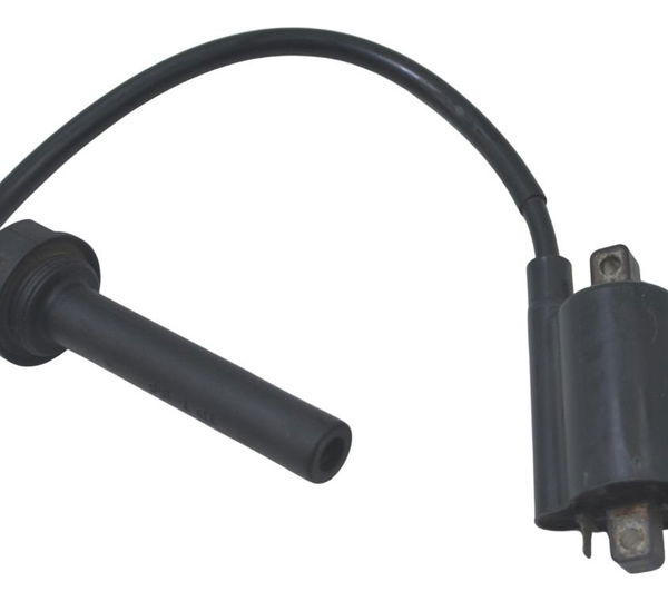 Bobina Ignição Yamaha Tdm Twin 900 02-08 Original