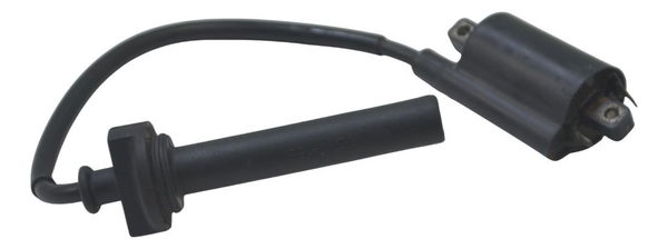 Bobina Ignição Yamaha Tdm Twin 900 02-08 Original