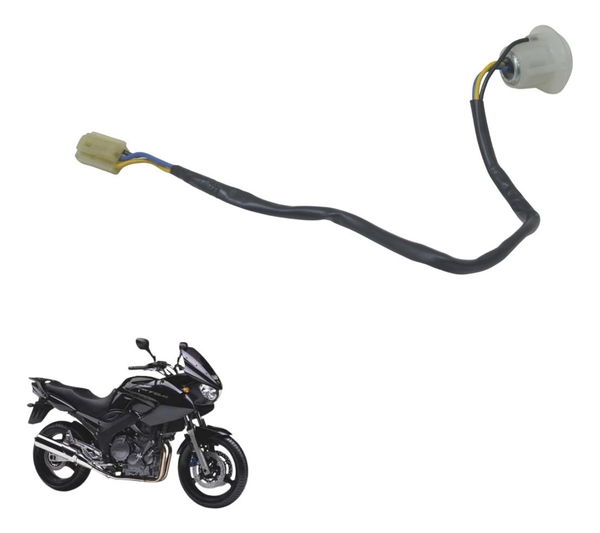 Chicote Lanterna Traseira Yamaha Tdm Twin 900 02-08 Original