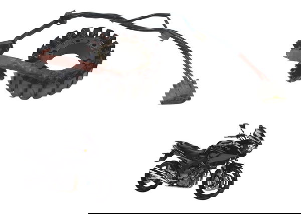 Estator Paralelo Yamaha Tdm Twin 900 02-08