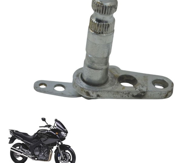 Suporte Pedal Freio Yamaha Tdm Twin 900 02-08 Original