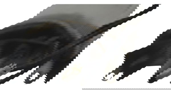 Lanterna Traseira C/detalhes Honda Cbr 1000 Rr 04-07 Origina