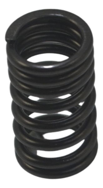 Mola Válvula Escape Honda Cbr 1000 Rr 04-07 Original