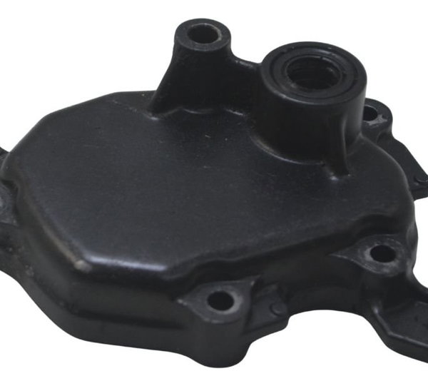 Tampa Eixo Pedal Câmbio Honda Cbr 1000 Rr 04-07 Original