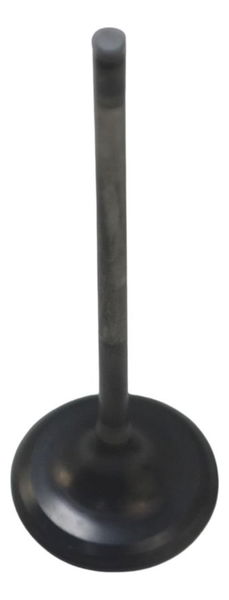 Válvula Admissão Honda Cbr 1000 Rr 04-07 Original