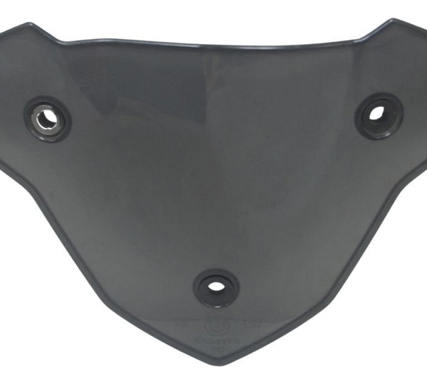 Parabrisa Bolha Bmw G 310 R 17-20 Original