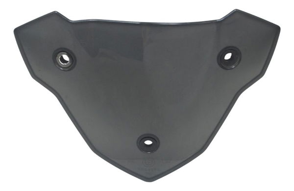 Parabrisa Bolha Bmw G 310 R 17-20 Original