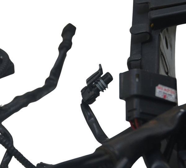 Chicote Principal Harley Road King Touring 2013 Original