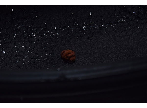 Pneu C/ Reparo Michelin Road5 190/50 Zr 17