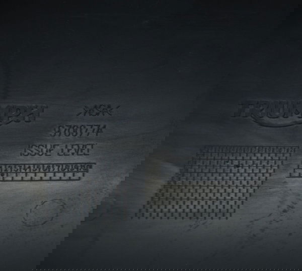 Paralama Dianteiro Triumph Scrambler 1200 X 2019 Original