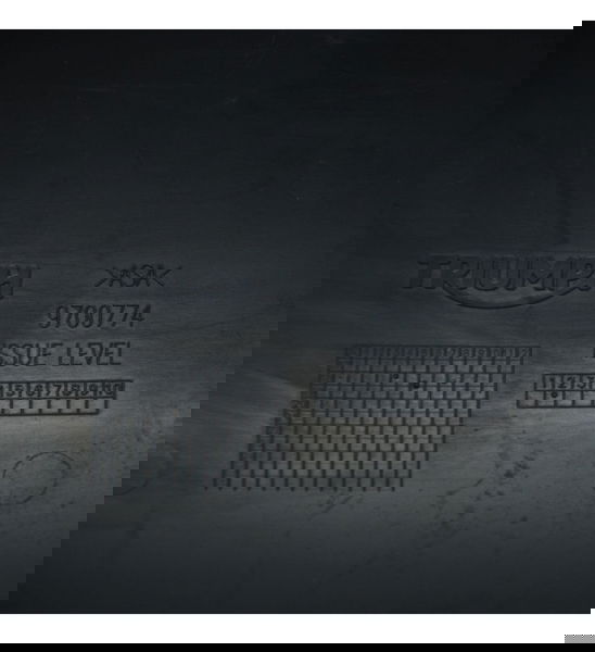 Paralama Dianteiro Triumph Scrambler 1200 X 2019 Original