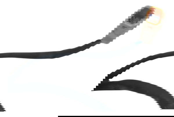 Chicot Lanterna Tras C/avaria Triumph Speed Triple 675 13-16