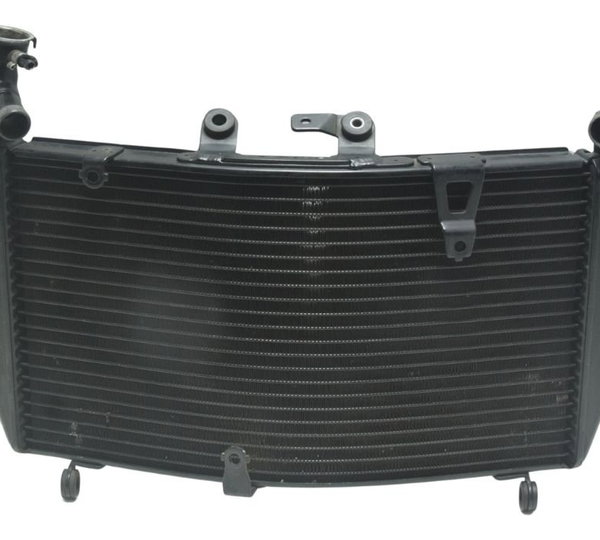 Radiador Triumph Tiger 1200 Ex 12-17 Original