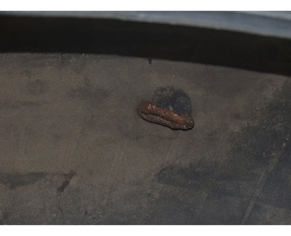 Pneu C/ Reparo Dunlop Sportmax D214 180/55 Zr17 73w