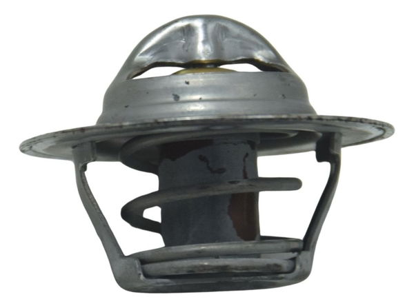 Válvula Termostática Triumph Tiger 1200 Ex 12-17 Original