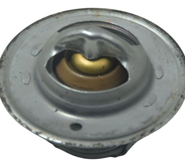 Válvula Termostática Triumph Tiger 1200 Ex 12-17 Original