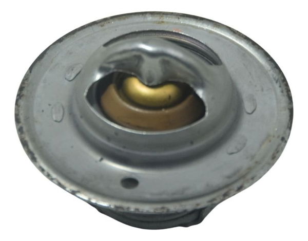 Válvula Termostática Triumph Tiger 1200 Ex 12-17 Original