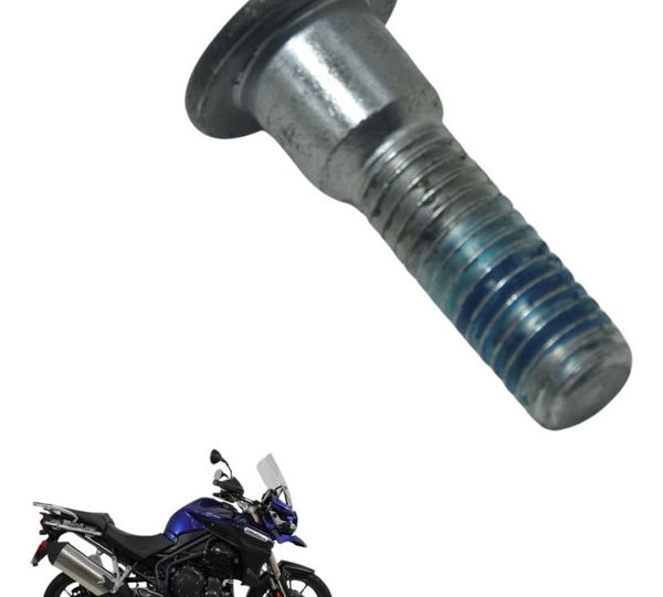 Parafuso Disco Freio Diant Triumph Tiger 1200 Ex 12-17 Origi