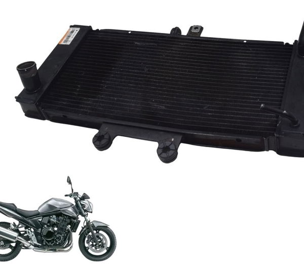 Radiador C/detalhe Suzuki Gsx 650 Bandit N 11-16 Original