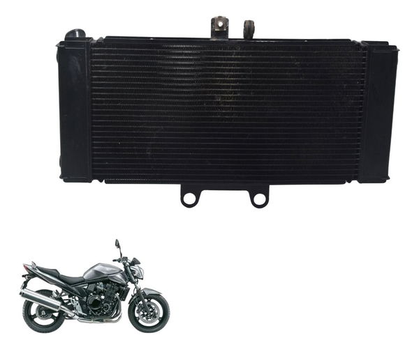 Radiador Suzuki Gsx 650 Bandit N 11-16 Original