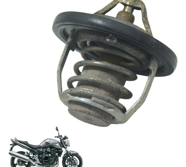 Válvula Termostática Suzuki Gsx 650 Bandit N 11-16 Original