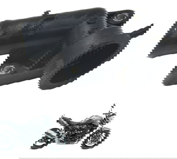 Bocal Radiador Suzuki Gsx 650 Bandit N 11-16 Original