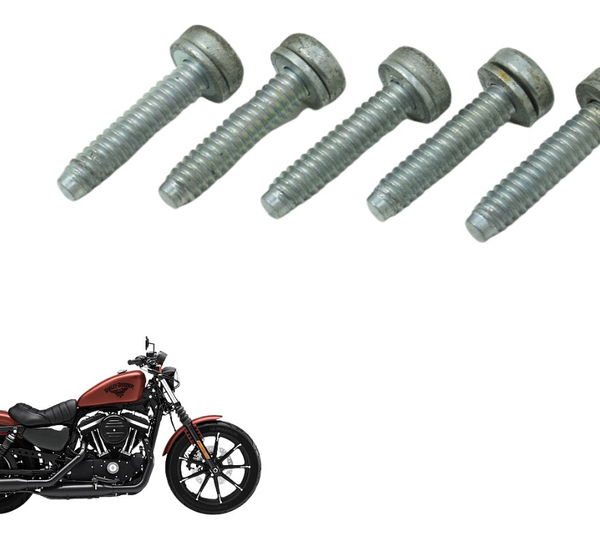 Jogo Parafuso Bomba Combust Harley Sportster Iron 883 14-19