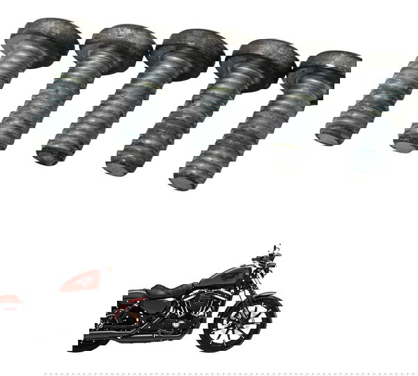 Jogo Paraf Disco Freio Tras Harley Sportster Iron 883 14-19