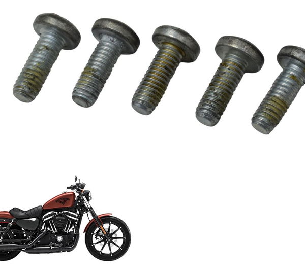 Jogo Parafuso Disco Diant Harley Sportster Iron 883 14-19