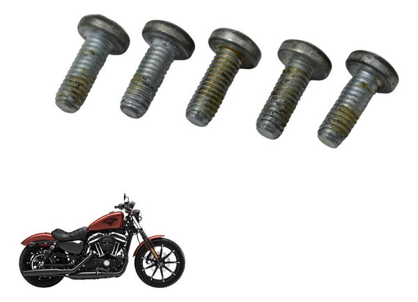 Jogo Parafuso Disco Diant Harley Sportster Iron 883 14-19