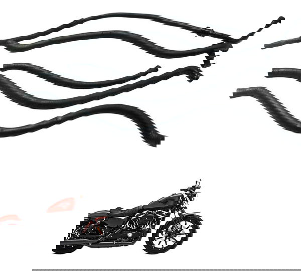 Kit Mangueiras Harley Sportster Iron 883 14-19 Original