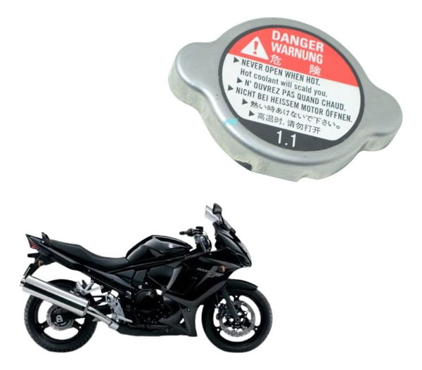 Tampa Radiador Suzuki Gsx 650f 09-12 Original