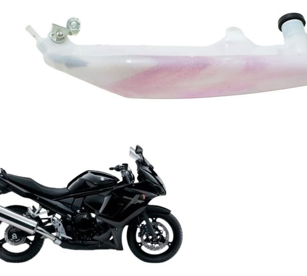 Reservatório Água Suzuki Gsx 650f 09-12 Original