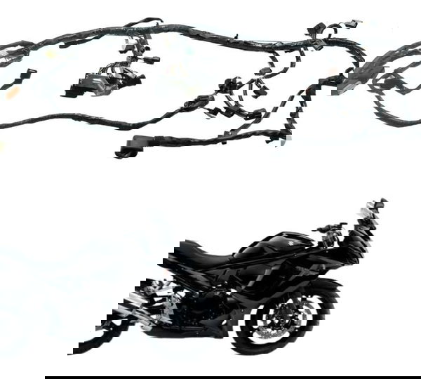 Chicote Principal Suzuki Gsx 650f 09-12 Original