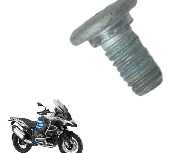 Parafuso Disco Freio Tras Bmw R1200 Gs Adv 13-19 Original