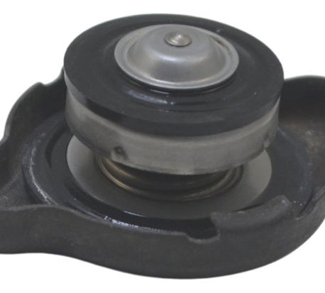 Tampa Radiador Suzuki Gsx-r 1300 Hayabusa 99-07 Original