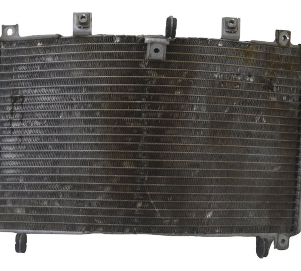 Radiador Suzuki Gsx-r 1300 Hayabusa 99-07 Original