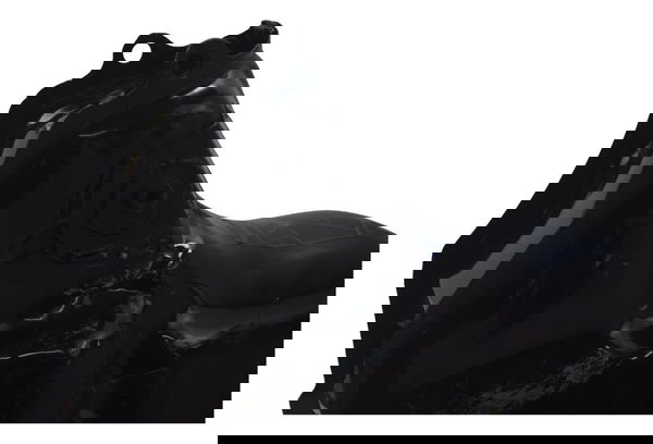 Tanque Combustível S/chave C/detal Honda Cbr 600 Rr 03-04