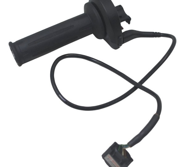 Acelerador Eletrônico Bmw S 1000 Rr 20-25 Original