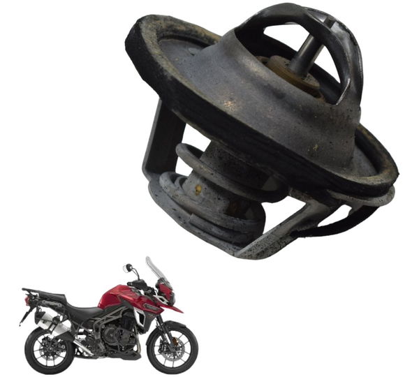 Válvula Termostática Triumph Tiger 1200 Xca 2017 Original