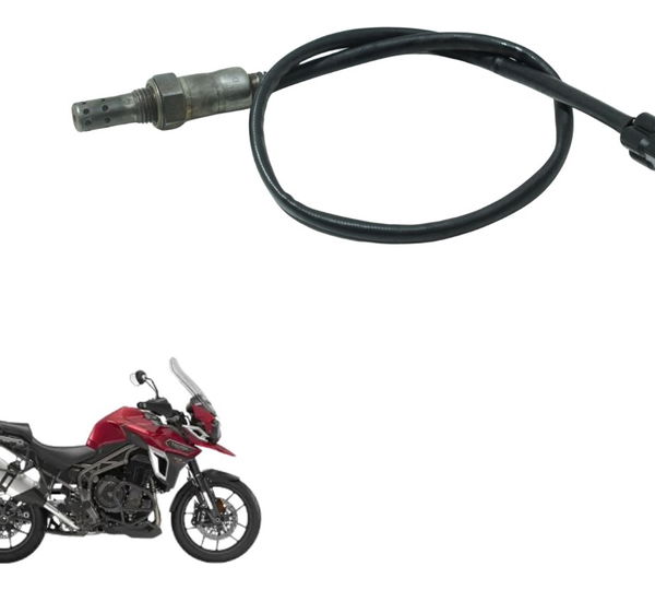 Sonda Lambda Triumph Tiger 1200 Xca 2017 Original