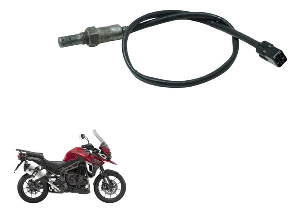 Sonda Lambda Triumph Tiger 1200 Xca 2017 Original