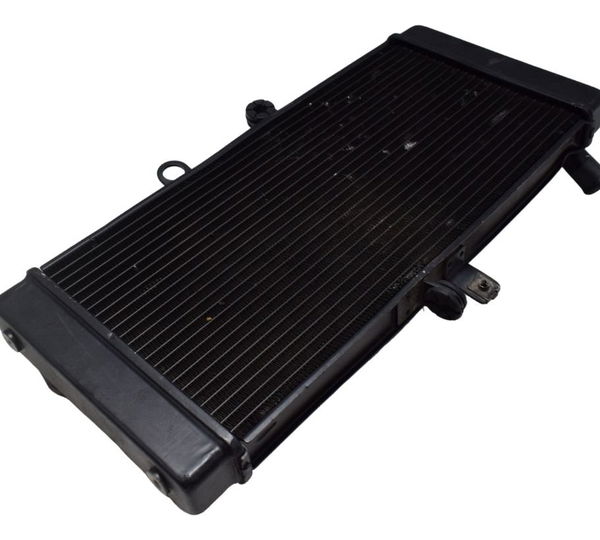 Radiador C/ Detalhes Suzuki Gsx Bandit 650n 09-11 Original